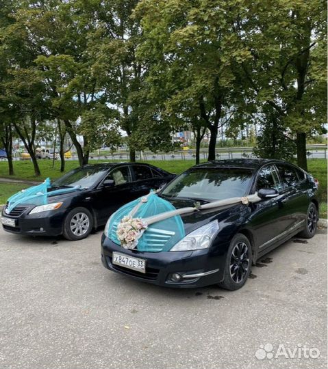 Автобус, машина на свадьбу, трансфер любой