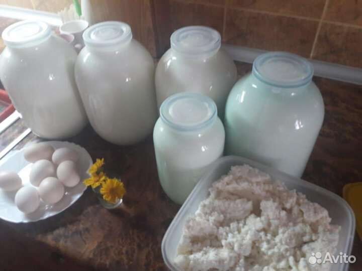 Козье молоко домашнее