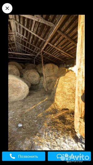 Сено достака бесплатно