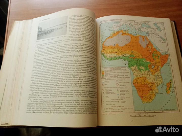 Африка - Энциклопедический словарь в 2-х томах