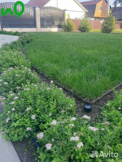 Рулонный газон под ключ/ озеленение