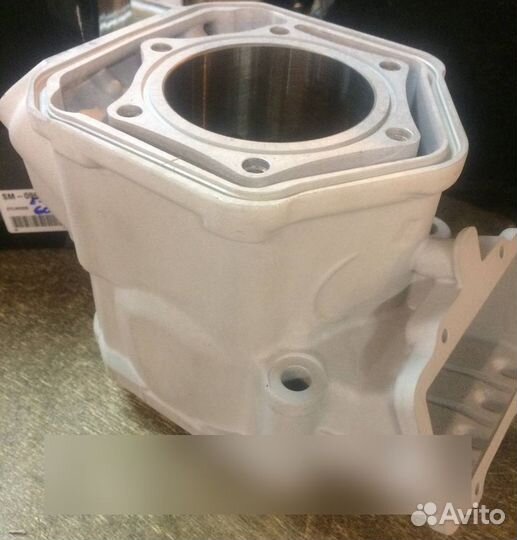 SM-09602 SPI Цилиндр Двигателя Для Ski Doo 600 E-TEC 420623263, 420623262
