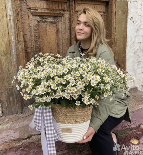 Букеты из ромашек