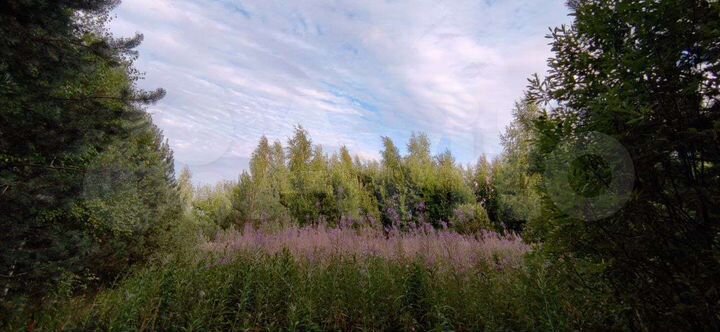 Участок 25 сот. (ИЖС)