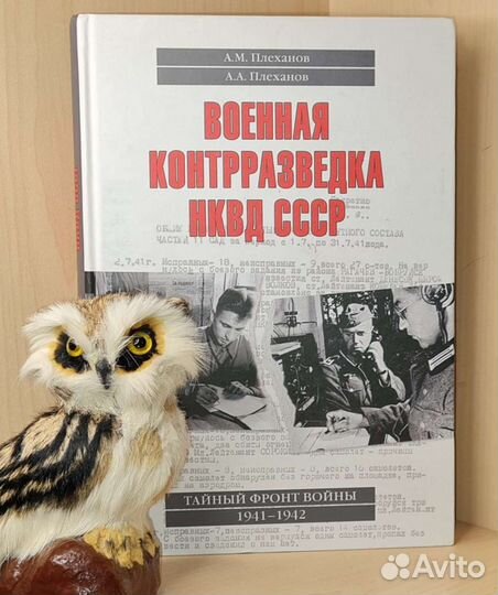 Плеханов А.М., Плеханов А. Военная контрразведка Н