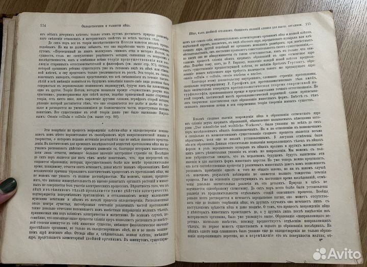 Книга И.Ранке 