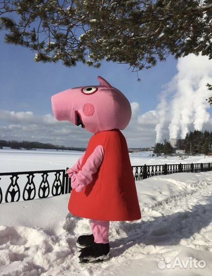 Костюм ростовой куклы