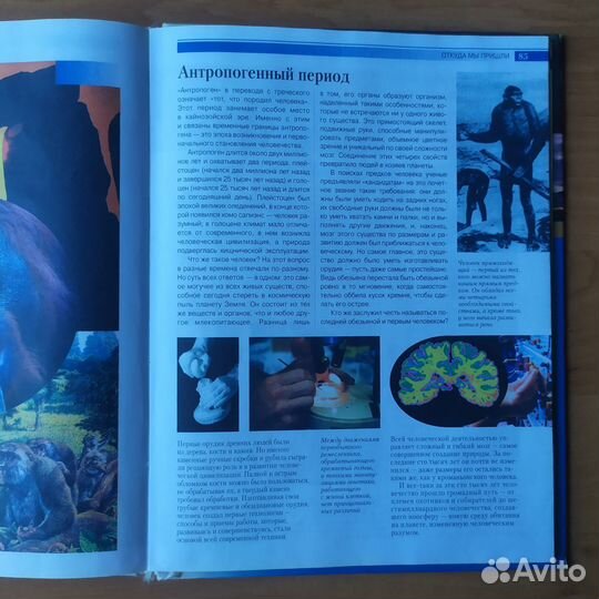 Из бездны времен. Иллюстрированная энциклопедия