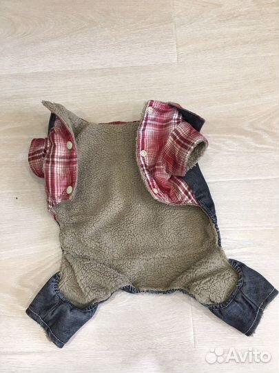 Одежда для маленькой собачки