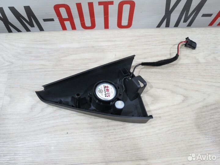 Динамик Volkswagen Tiguan