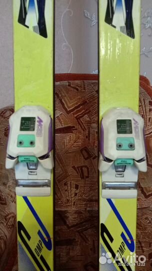 Горные лыжи