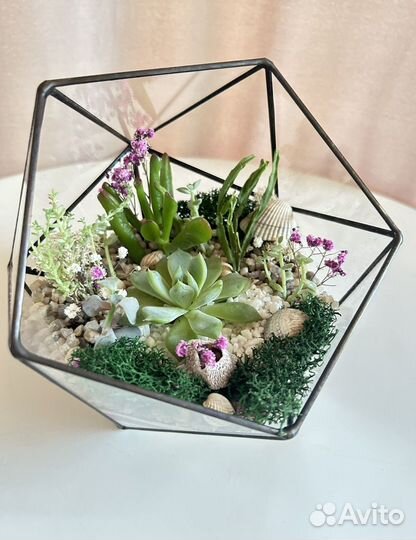 Флорариум. Подарок на 8 марта