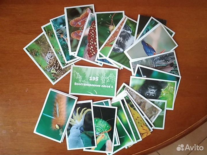 Наклейки для альбома 