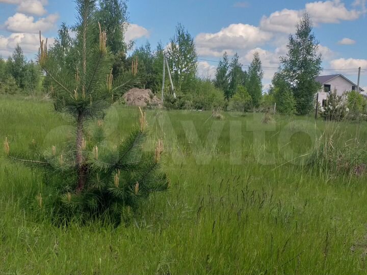 Участок 12 сот. (ИЖС)