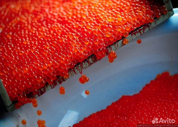 Икра красная