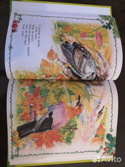 Виталий Бианки. Лесные истории