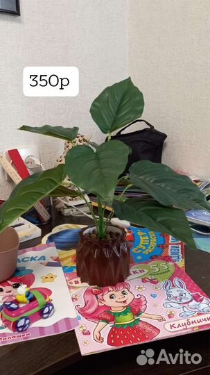 Искуственные растения