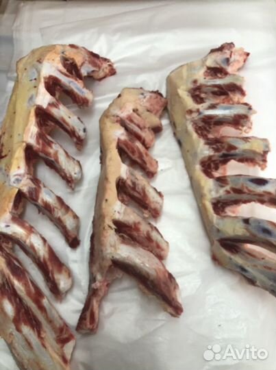 Говяжьи кости на корм собакам и другим животным