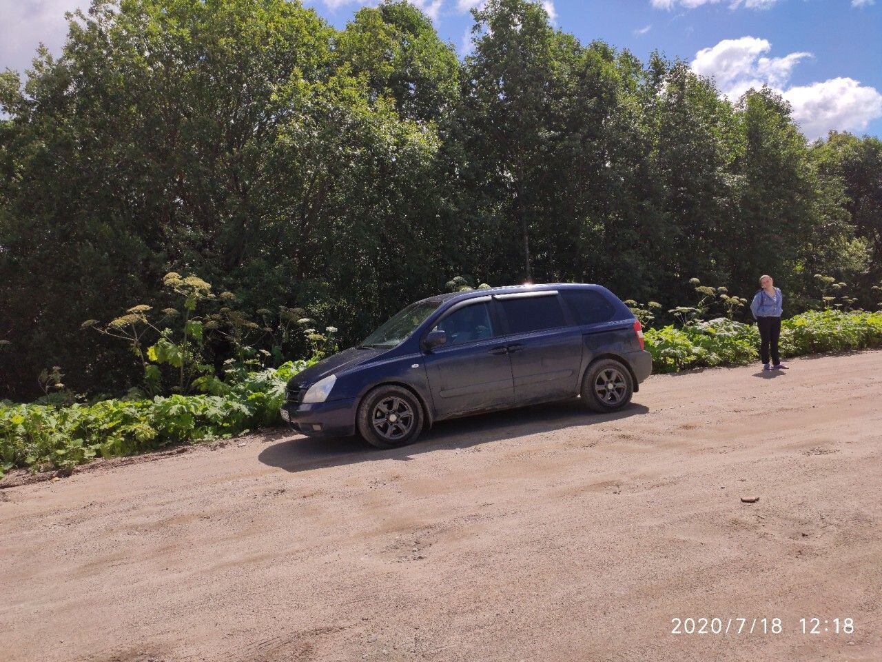 Kia Carnival: фото владельца