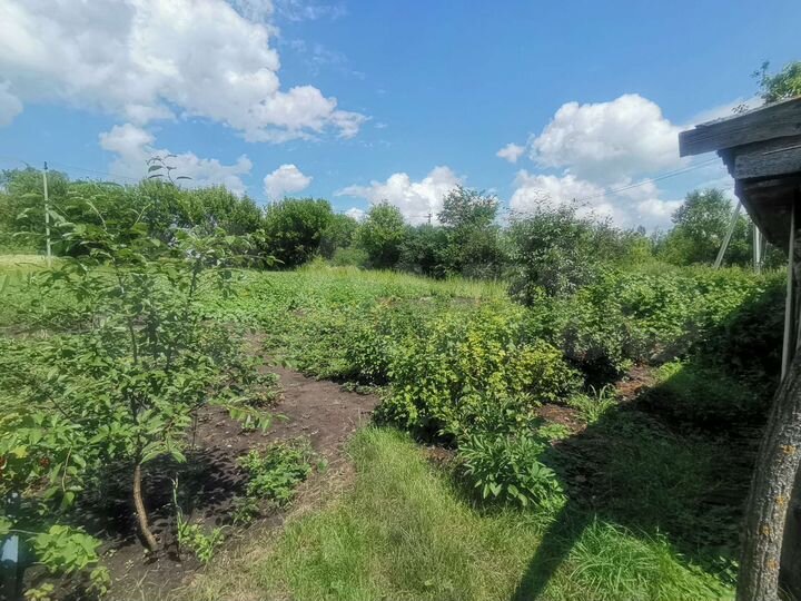 Дом 50 м² на участке 25 сот.
