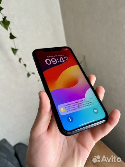 iPhone Xr, 128 ГБ