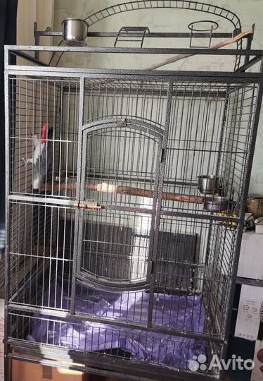 Клетка для попугая