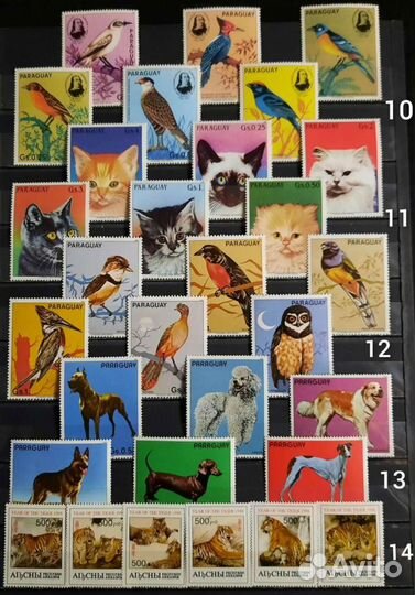 Коллекция Фауна 60-90х 5 (чистые)