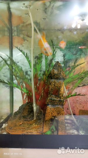 Аквариум с рыбками
