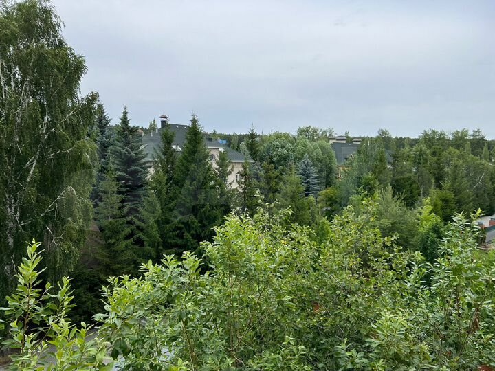 Участок 1,15 га (ИЖС)