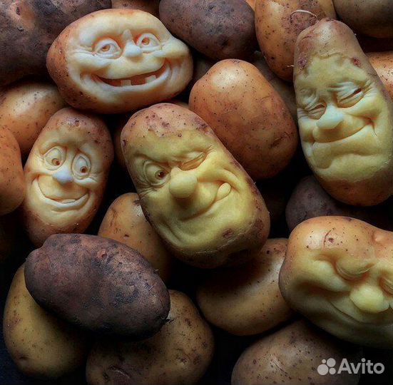 Картошка оптом