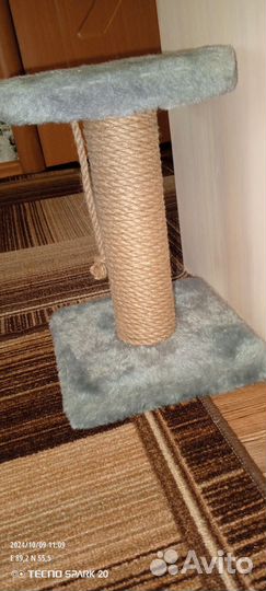 Когтеточка