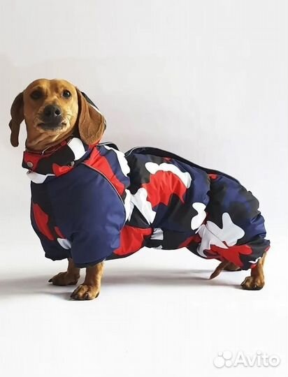 Комбинезон зимний для таксы