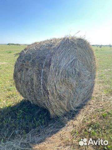 Сено в рулонах