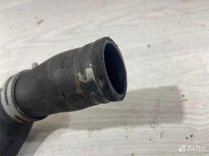 Патрубок радиатора нижний Ford Focus 2 (08-11)