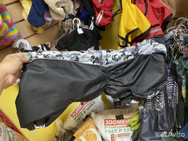 Одежда для собак