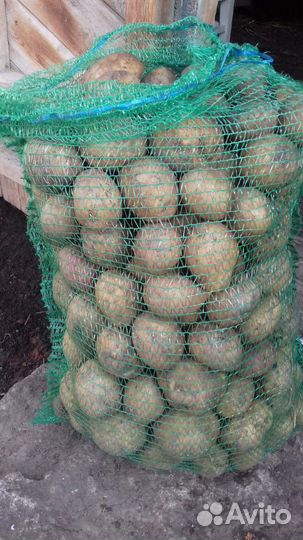 Грунт для картофеля,цветов
