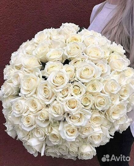 Высокие розы Гигантские розы Доставка цветов