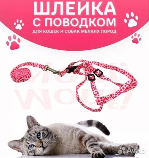 Шлейка поводок для кошки