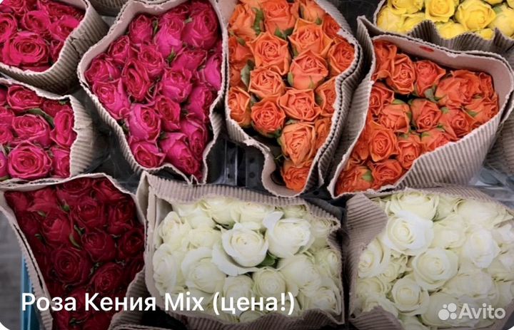 Розы оптом 59,50