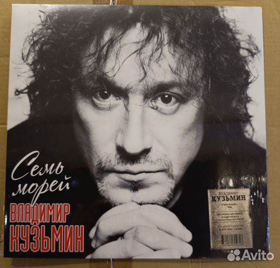 Виниловая пластинка В. Кузьмин Семь морей