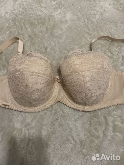 Бюстгальтер