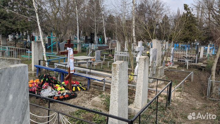 Спил деревьев