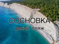 Пляж сосновка Морские прогулки Геленджик