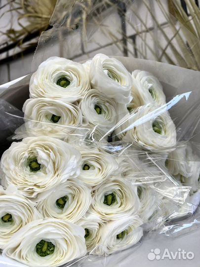 Пионовидные цветы ранункулюсы пионы