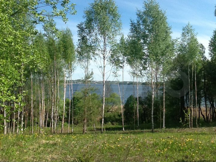 Участок 7 га (СНТ, ДНП)