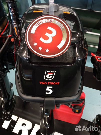 Лодочный мотор Golfstream (Гольфстрим) T 5 nbms