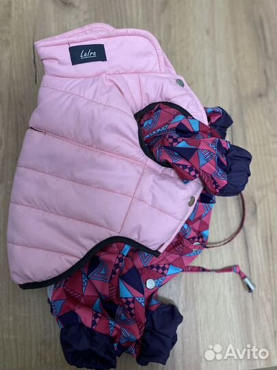 Куртка и комбинезон для собаки размер s / 3-4,5 кг