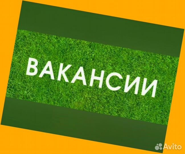 Маркировщик Еженедельный аванс М/Ж Спецодежда