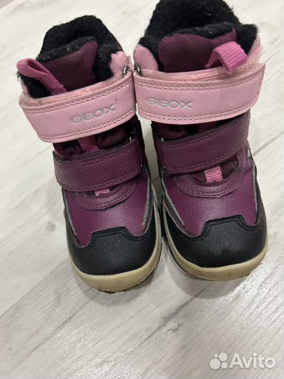 Зимние ботинки для девочки geox
