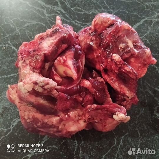 Коленки жилка становая говяжья мясо головное обрез